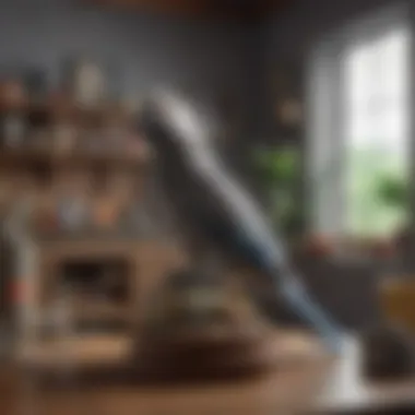 Creating a Parrot-Friendly Home An inviting living space designed for a gray parrot, highlighting safe toys and cozy resting areas.