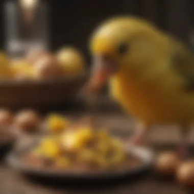 A close-up of a canary eating a nutritious seed mix, highlighting its dietary needs.