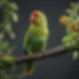 A vibrant parakeet perched on a branch, showcasing its lively colors and playful demeanor.