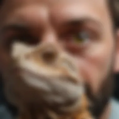 Close-up of a bearded dragon being examined by a specialist, highlighting healthcare.