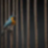 Colorful assortment of bird cage ropes for avian habitats
