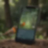 A close-up of a smartphone displaying a bird call identification app in action