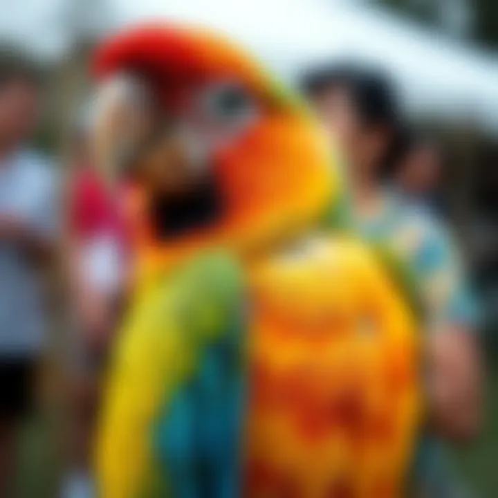 A community event showcasing exotic bird species in Cairns