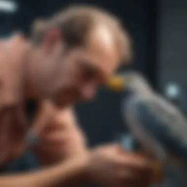 A veterinary professional examining a pet bird to assess its health.