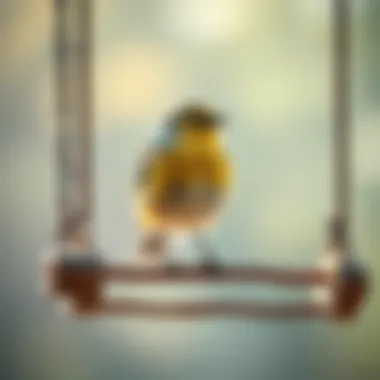 Peaceful Finch on a Swing A tranquil scene featuring a finch resting on a swing, embodying peace and comfort.