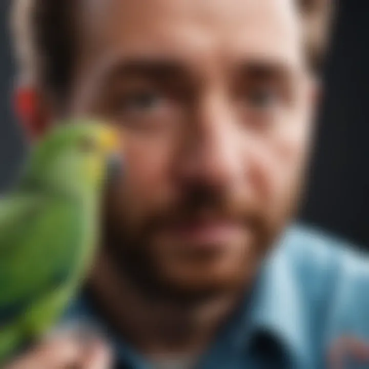 A veterinarian examining a parakeet