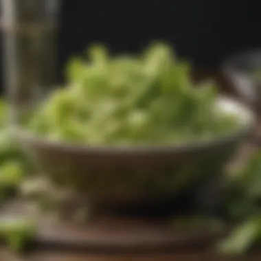 Close-up of chopped celery in a bird's feeding bowl