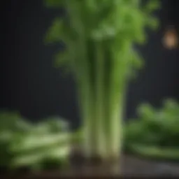 Fresh celery stalks showcasing vibrant green color