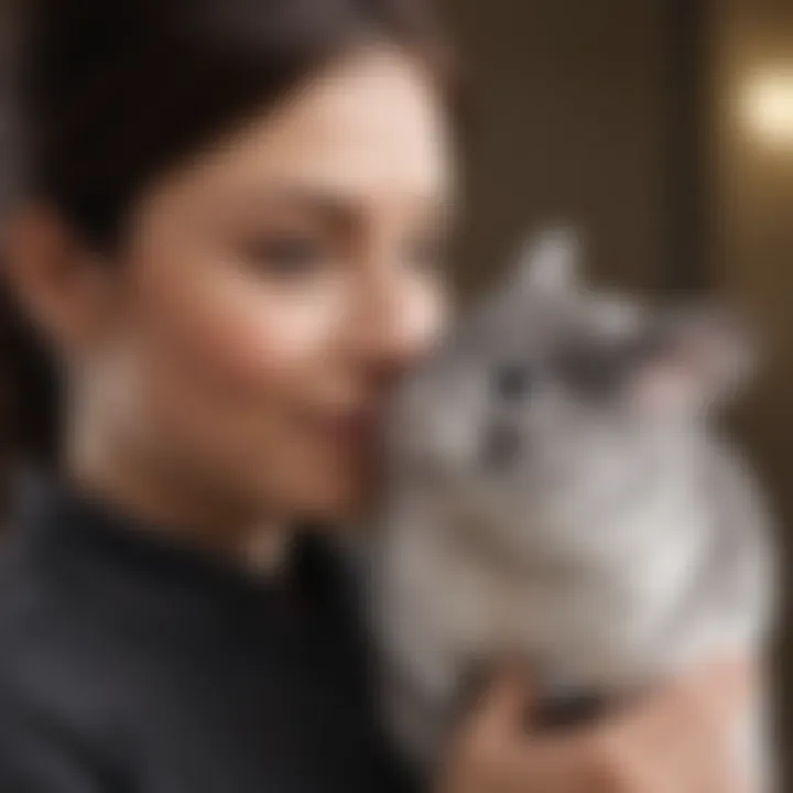 A chinchilla interacting playfully with a caregiver, highlighting their bond.