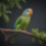 A vibrant parakeet perched on a colorful branch, showcasing its playful nature.