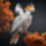 A vibrant cockatoo perched on a branch, showcasing its striking plumage.