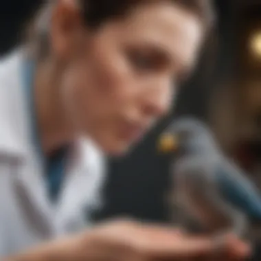 A veterinarian examining a pet bird