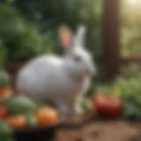 A vibrant garden with fresh vegetables and herbs for bunny nutrition