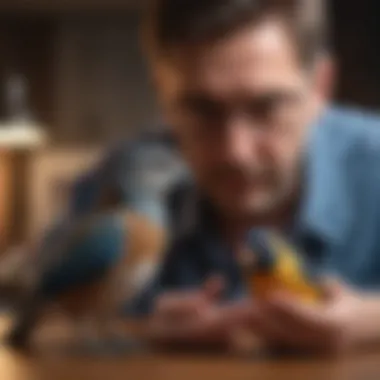 A concerned bird owner examining their pet bird for unusual signs.