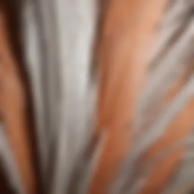 A close-up view of ethically sourced cockatoo feathers