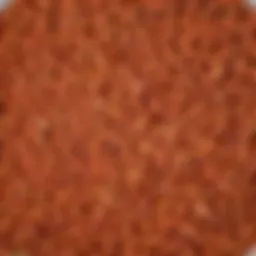 Close-up view of shelled safflower seeds in a bowl
