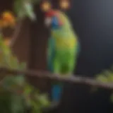 A vibrant parakeet perched on a branch, showcasing its colorful plumage.