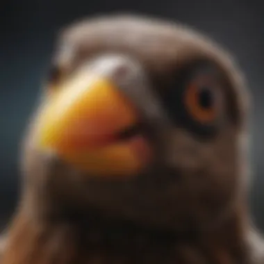 A close-up of a bird's beak indicating curiosity towards CBD-infused treats