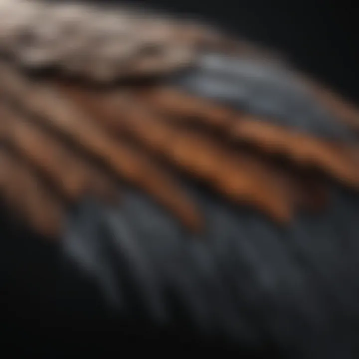 A detailed view of a bird's wing structure, showcasing its aerodynamic features.