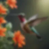 A vibrant hummingbird hovering near a blooming flower, illustrating avian pollination.