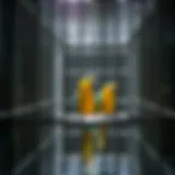 Elegant stainless steel parrot cage showcasing spacious interior