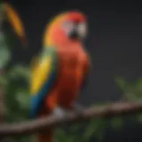 A vibrant parrot perched on a branch, showcasing colorful feathers.