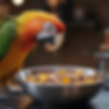 Close-up of a parrot enjoying food from a stainless steel bowl