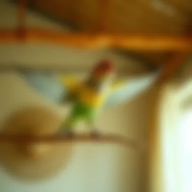 Creating Safe Spaces for Avian Freedom Bird enjoying a safe flying space