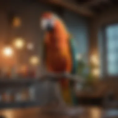 Different types of parrot play stands showcasing diverse designs