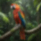 A vibrant macaw perched on a branch surrounded by lush greenery.