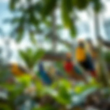 Photograph of a vibrant ecosystem showcasing diverse bird species