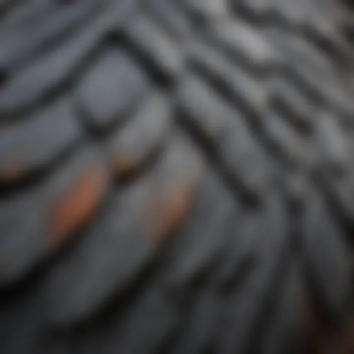 Close-up of African Grey parrot's feathers