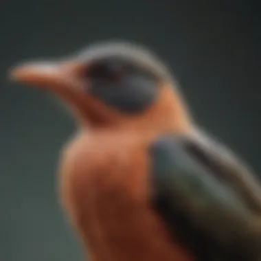 Close-up of a bird exhibiting neck stretching behavior