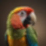 A parrot stretching its neck in a playful pose