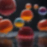 Colorful assortment of bird jelly varieties