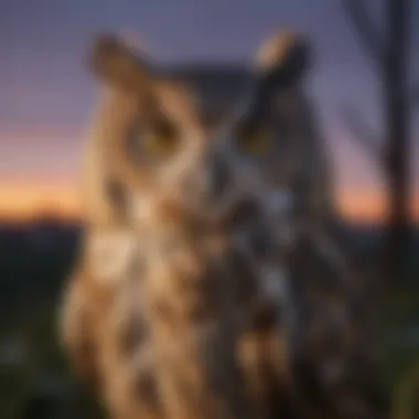 An owl in twilight, embodying mystery and grace, with large, reflective eyes