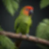 A vibrant green conure perched on a branch