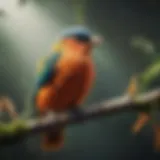 A pet bird perched on a branch displaying its vibrant feathers