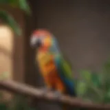 A colorful parrot perched on a branch with a soft background