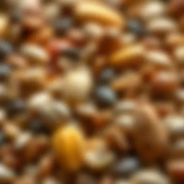 Nutritional Benefits of Shelled Bird Seeds Close-up of the nutritional content of shelled seeds