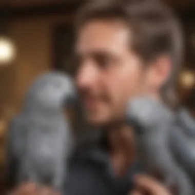 A cheerful gray parrot interacting with its owner, symbolizing the bond and commitment required.