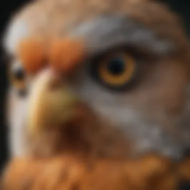 An insightful close-up of a bird's eye, reflecting curiosity and intelligence.