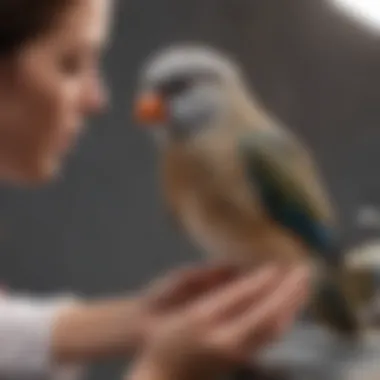 A veterinarian examining a pet bird during a check-up