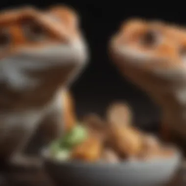 Dietary Needs Across Life Stages A chart displaying dietary adjustments for different bearded dragon life stages