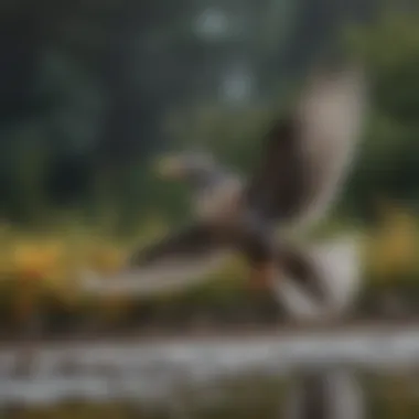 A tranquil scene of a bird in flight, symbolizing freedom and natural behavior